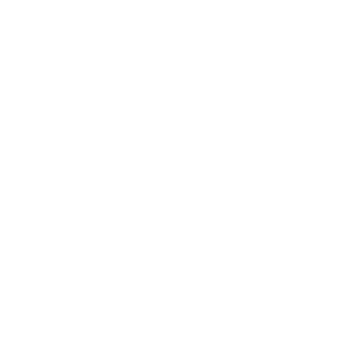 Euro Icon